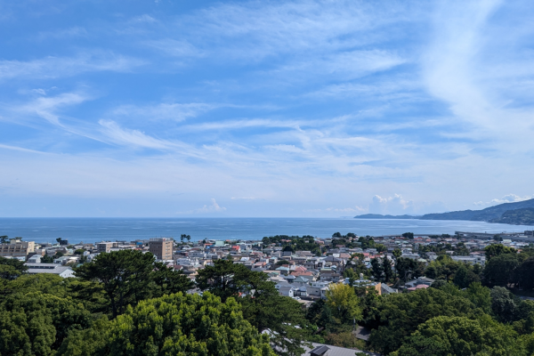 小田原地域密着